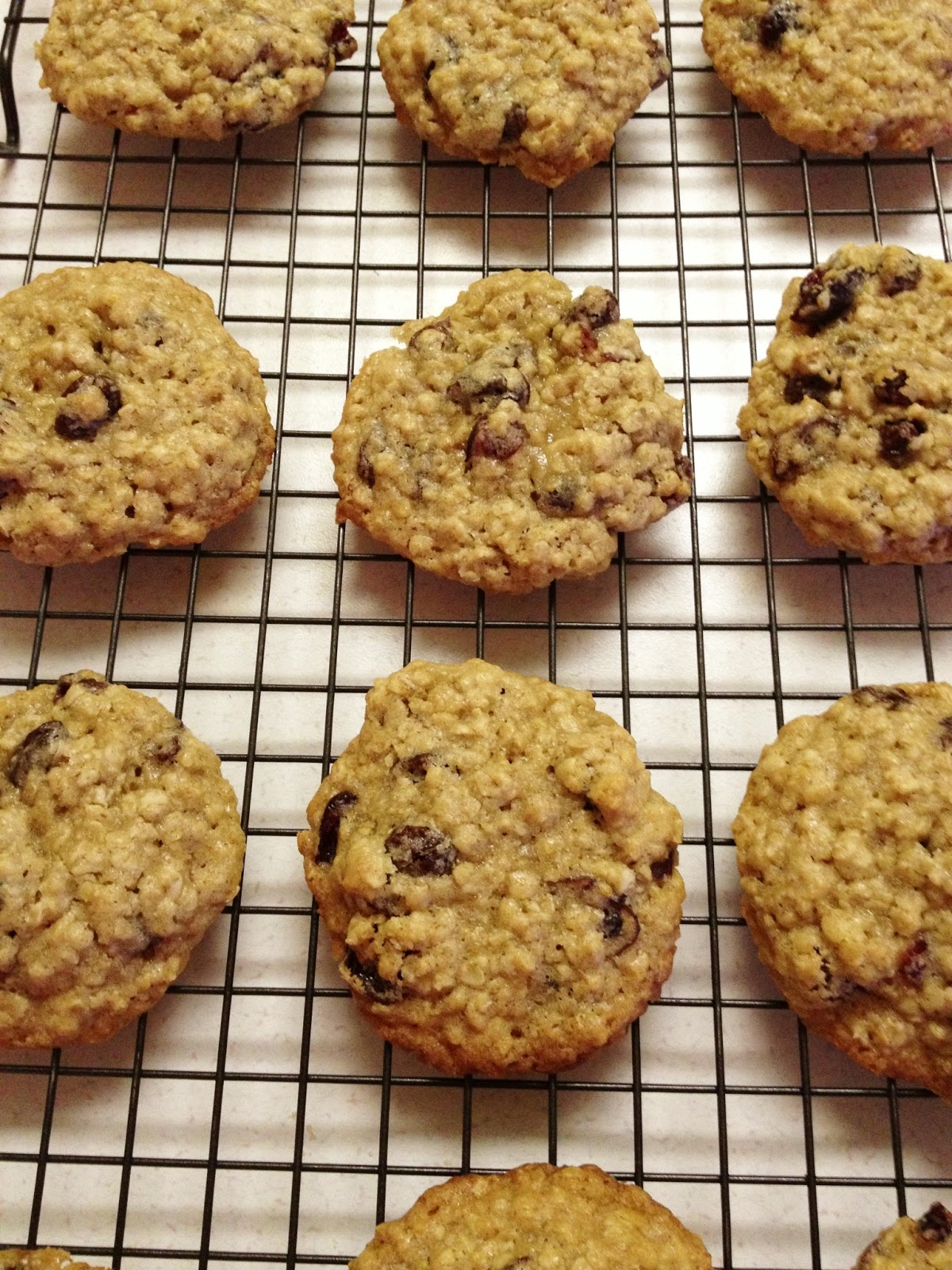 Basil Development Craisin Oatmeal Raisin Cookies