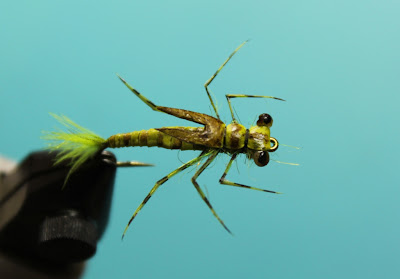 Damselfly - Pine Mountain Lake Homes and Real Estate