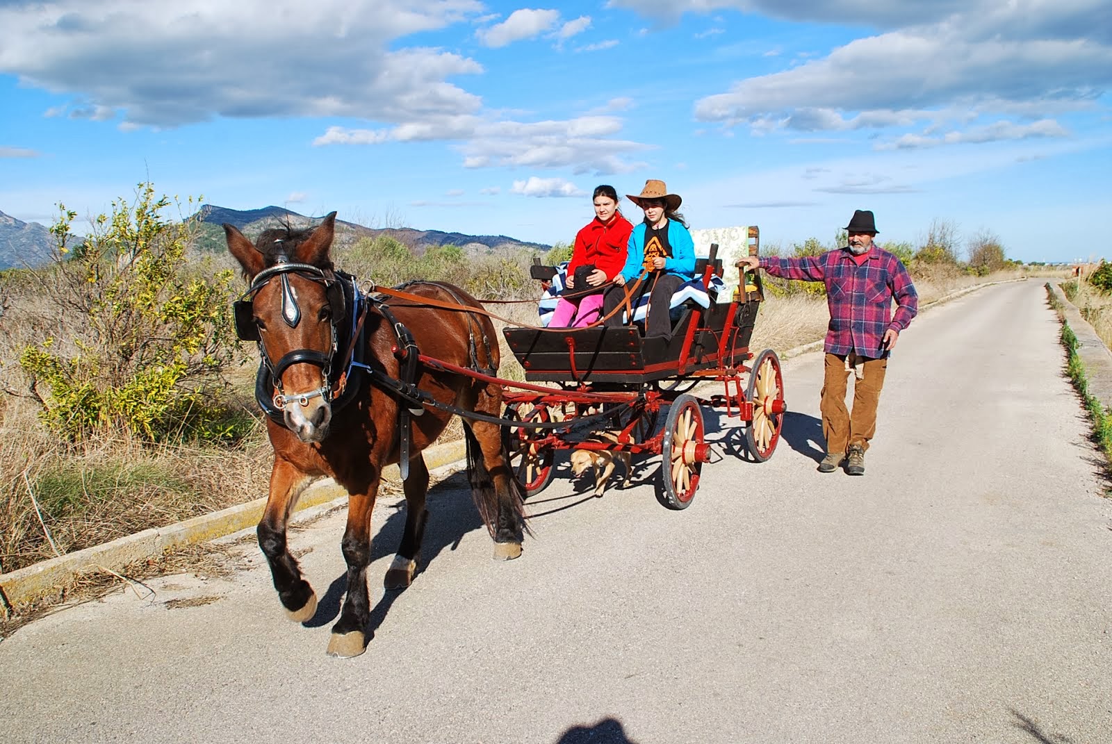 EN CARRETA POR LA VIDA