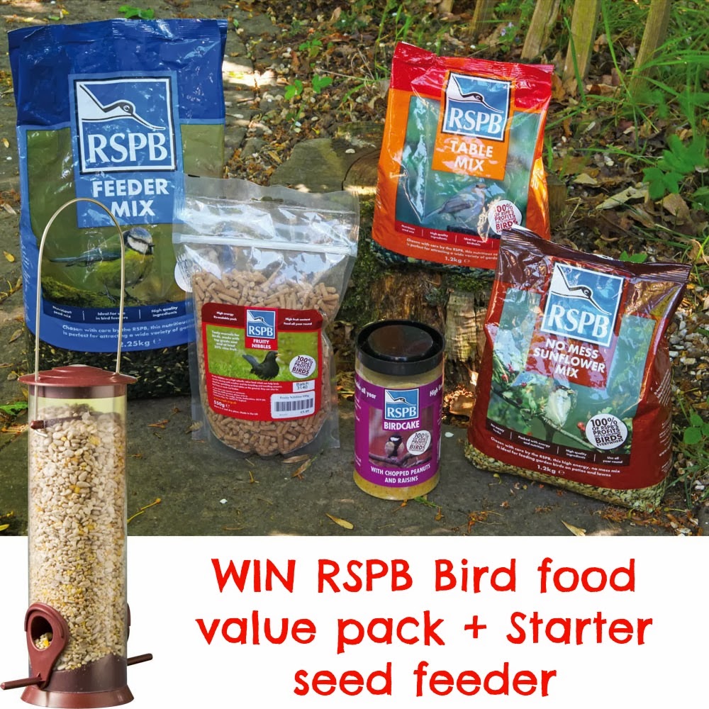 Kelly Martin Speaks Review Bird Food Gift Pack From The RSPB