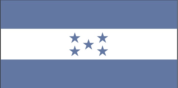 flag two blue stripes one white flag two blue stripes one white