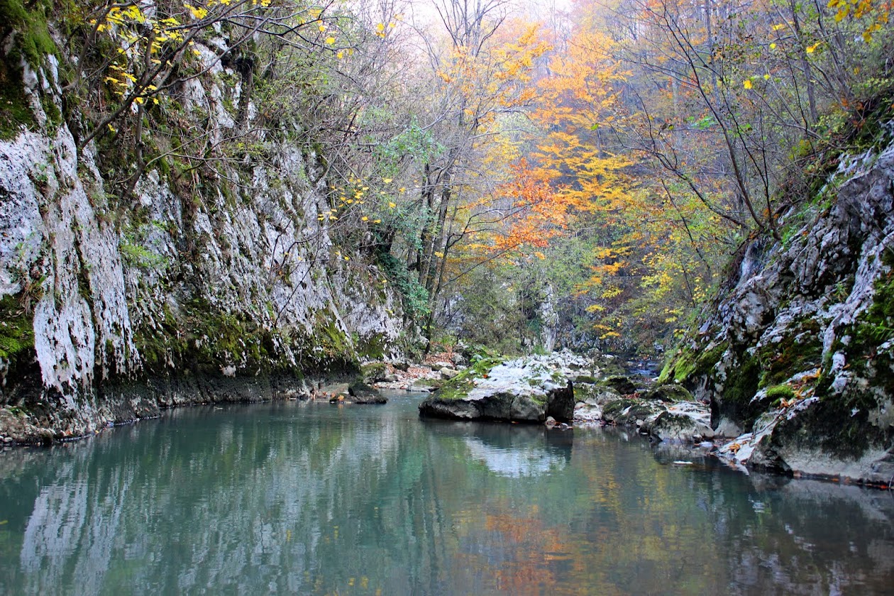 " Arome de Poteci " 