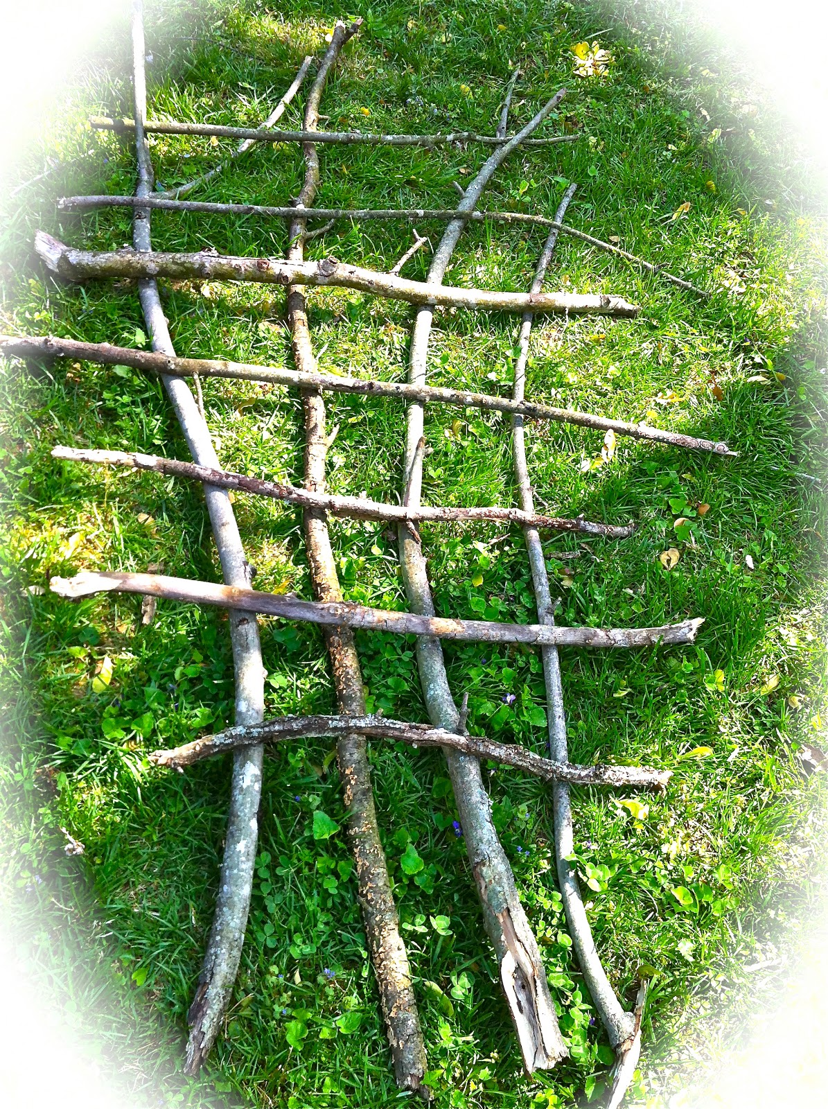 everyday donna Make A Rustic Trellis From Fallen Tree Limbs