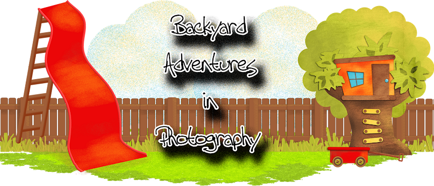Backyard Adventures in Photography