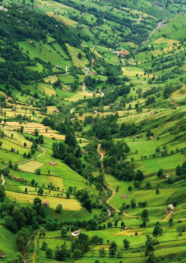 MÉRIDA: Territorio ordenado