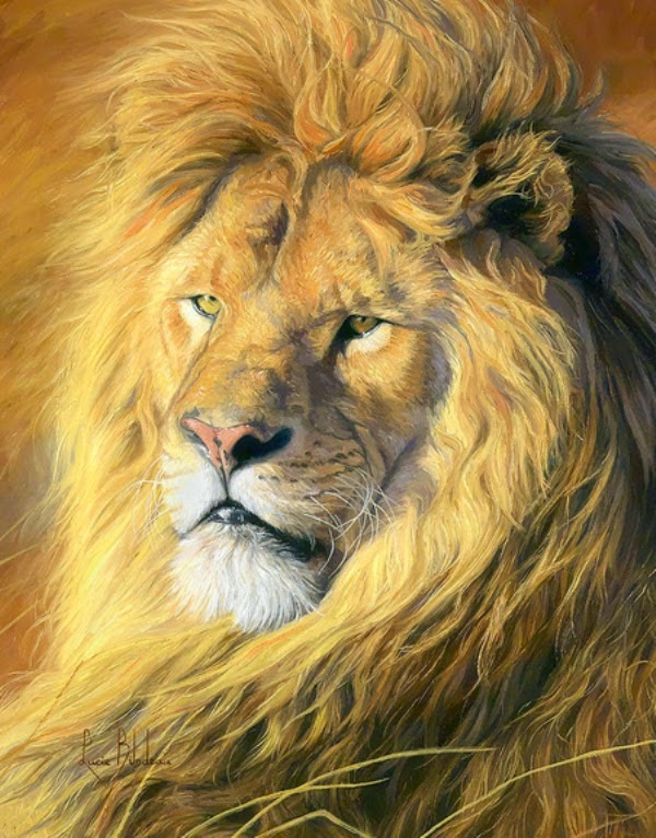 Imagenes De Leones Al Oleo | pintura moderna y fotograf 237 a art 237 stica pinturas Imagenes De Leones Al Oleo | pintura moderna y fotograf 237 a art 237 stica pinturas