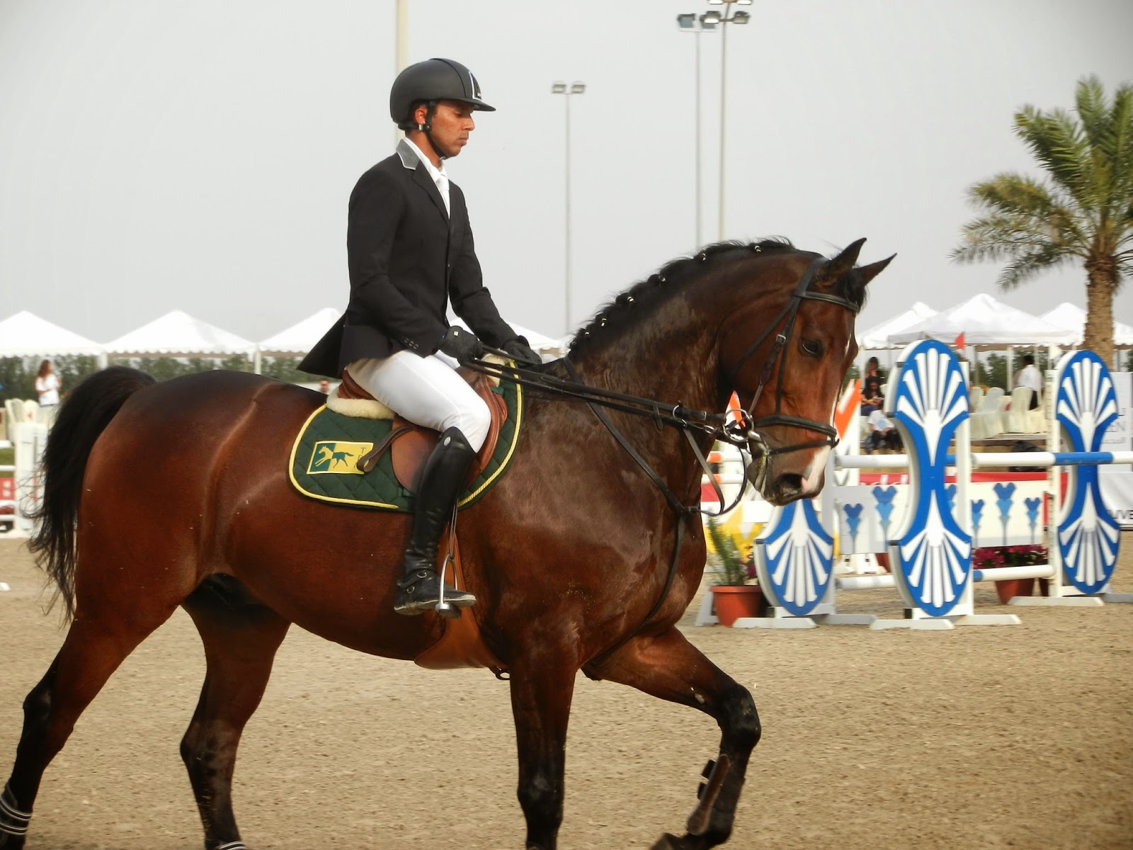 Kuweight 64 INTERNATIONAL SHOW JUMPING CHAMPIONSIP 2014 HELD AT KUWAIT