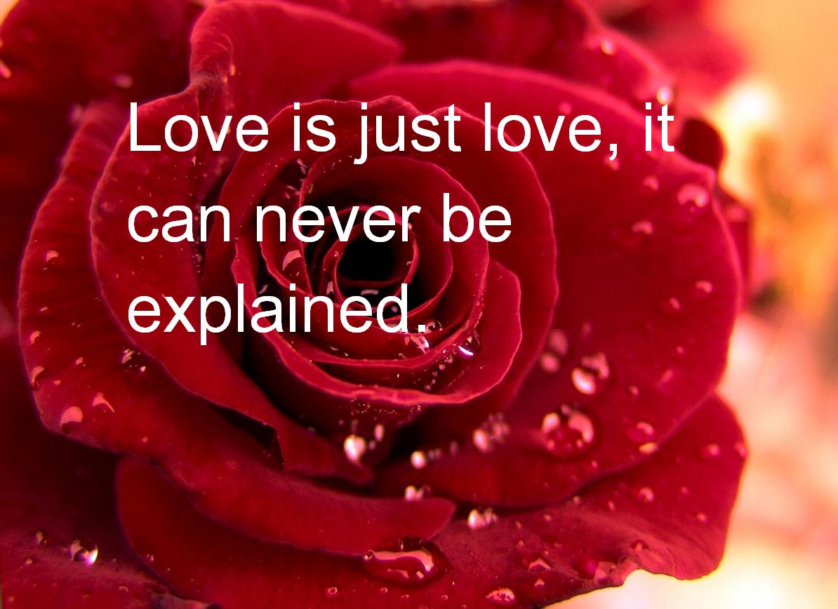 valentines day quotes 2013 new latest pictures valentines day quotes 2013 new latest pictures