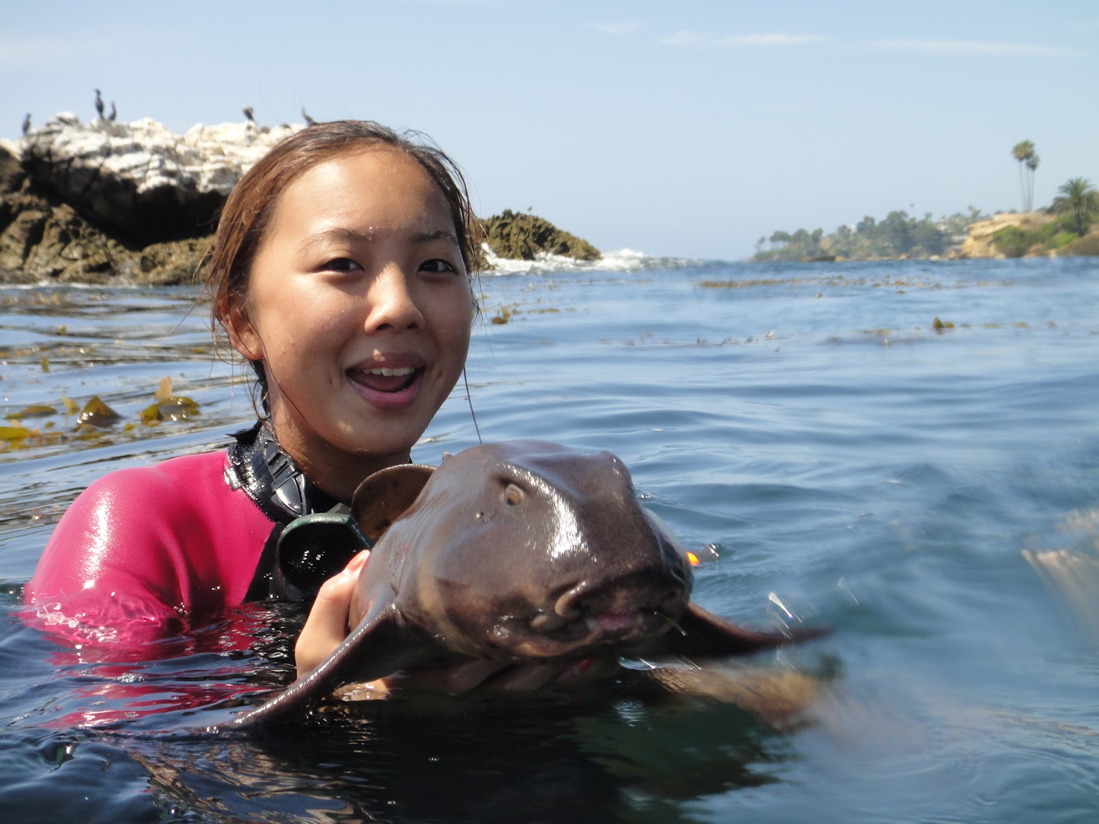 Happy Trails Snorkeling at Laguna Beach