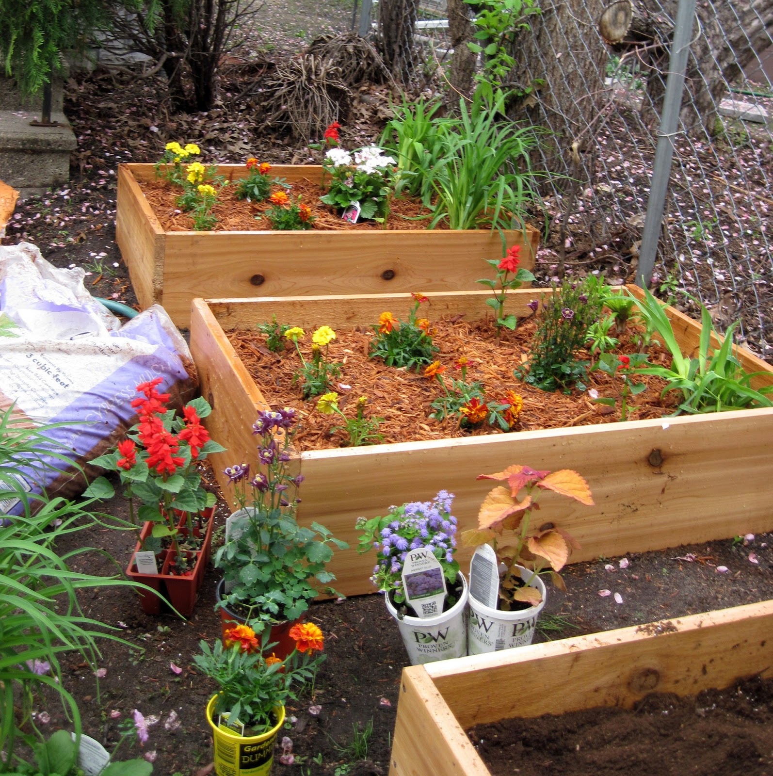 Cedar Garden Boxes, Part II