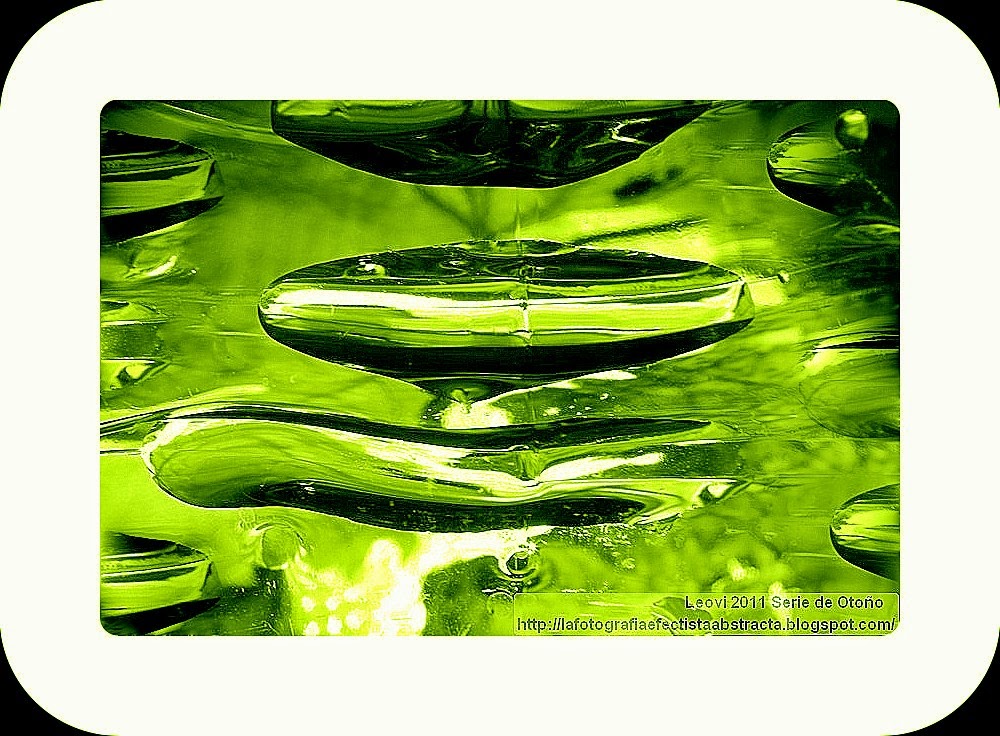 Foto Abstracta 3245 Otoño Maduro - Mature Autumn Foto Abstracta 3245 Otoño Maduro - Mature Autumn