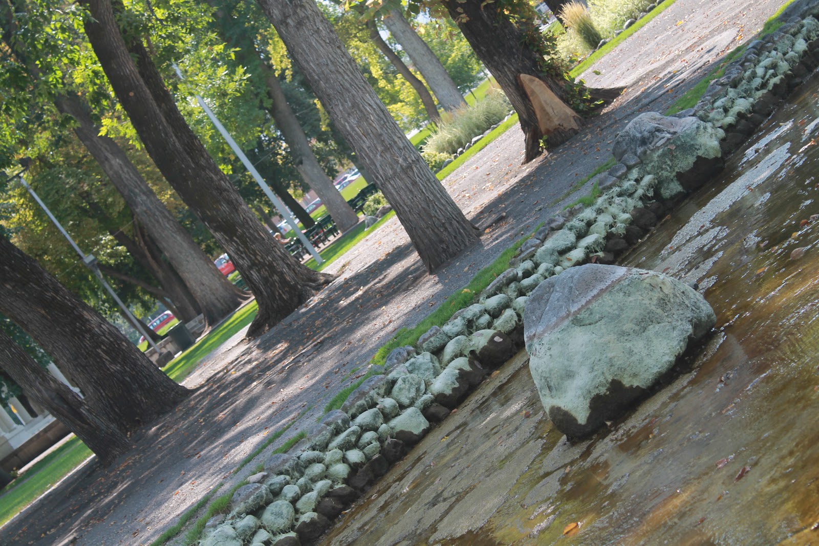 The Payson Chronicle Memorial Park A Place for Memory Making