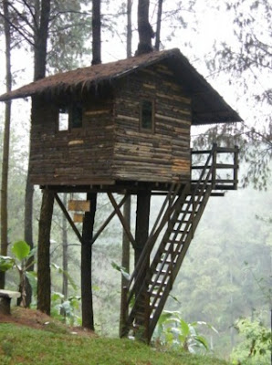 10 Gambar Rumah Pohon Terbaru 2016 10 Gambar Rumah Pohon Terbaru 2016