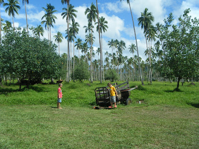 Fijian farm