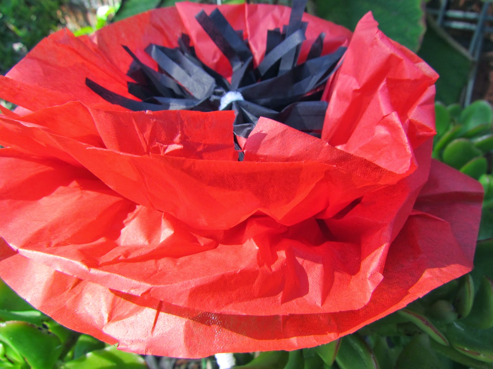 Living by the Guide Law Tissue paper poppies