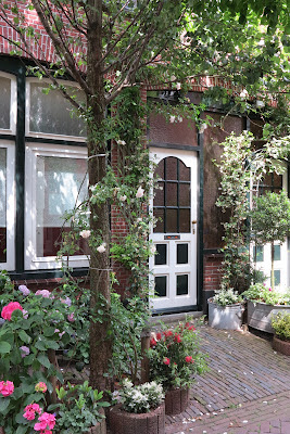 container garden, urban garden, pink, hydrangea, Haafner