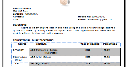 Sample Resume For 6 Months Experience In Software Testing