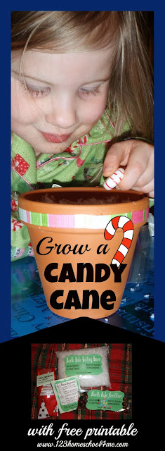 Grow a Candy Cane Christmas Activity for Kids with Free Printable
