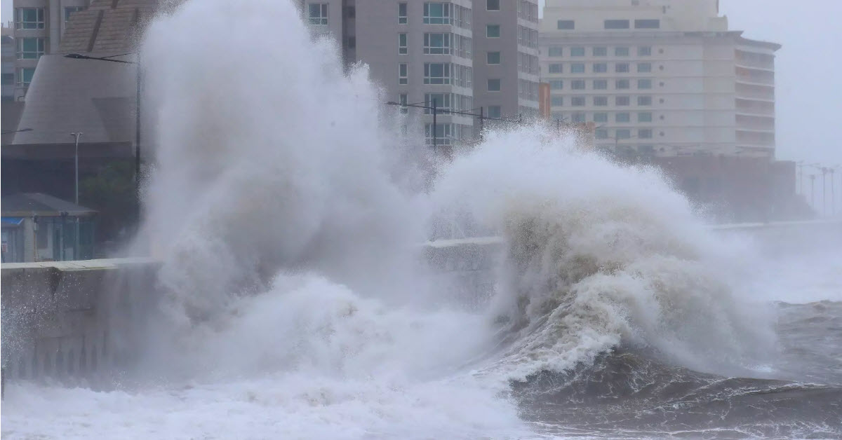 World weatherwatch: Japan and South Korea hit by tropical storm Kong-Rey