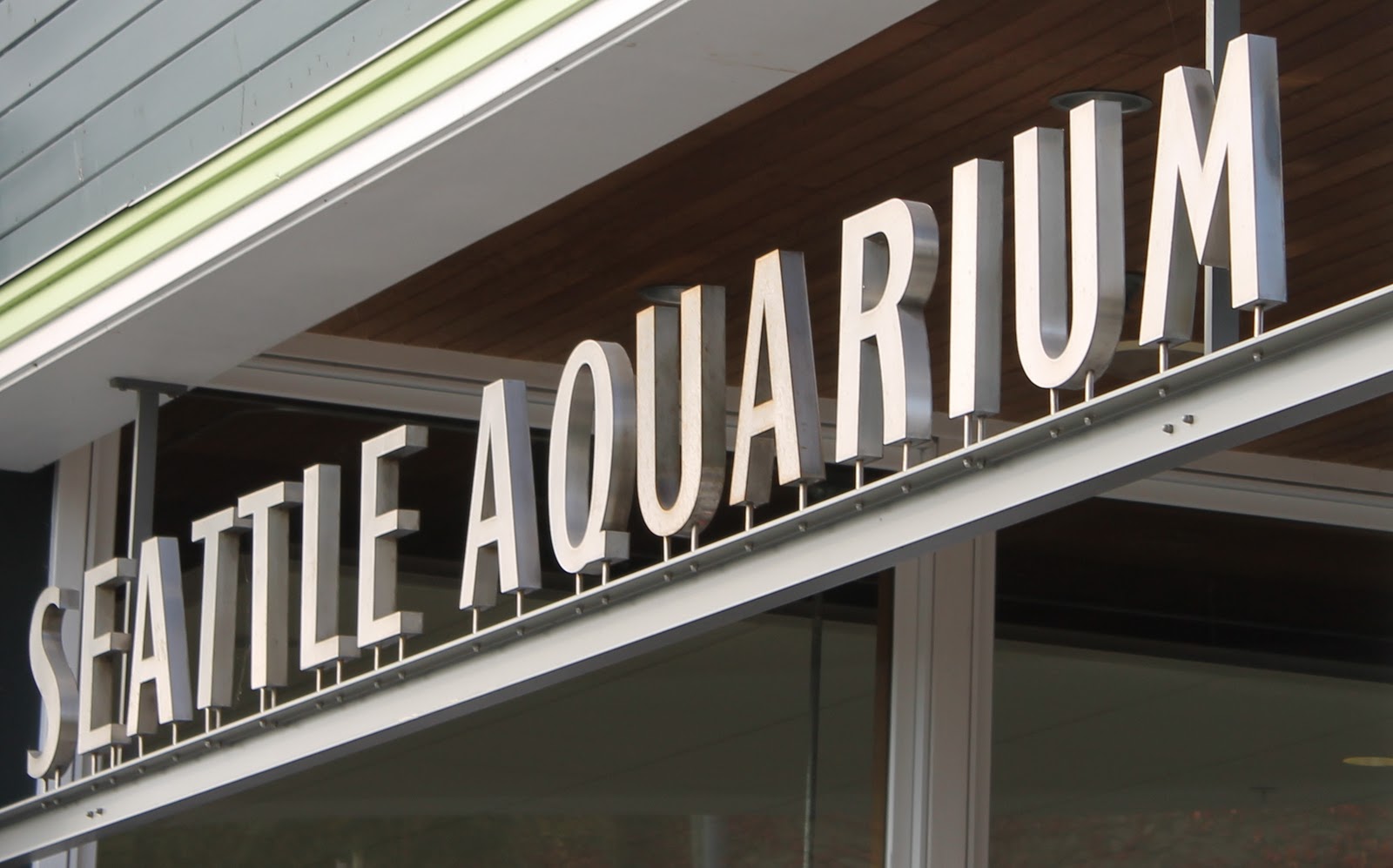Play For a Day Groupon Seattle Aquarium Tickets Only 10