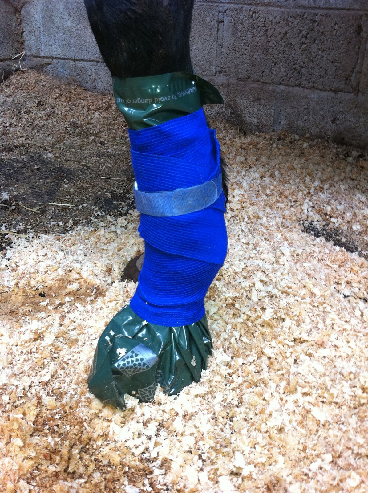 cleantrax soaking boot