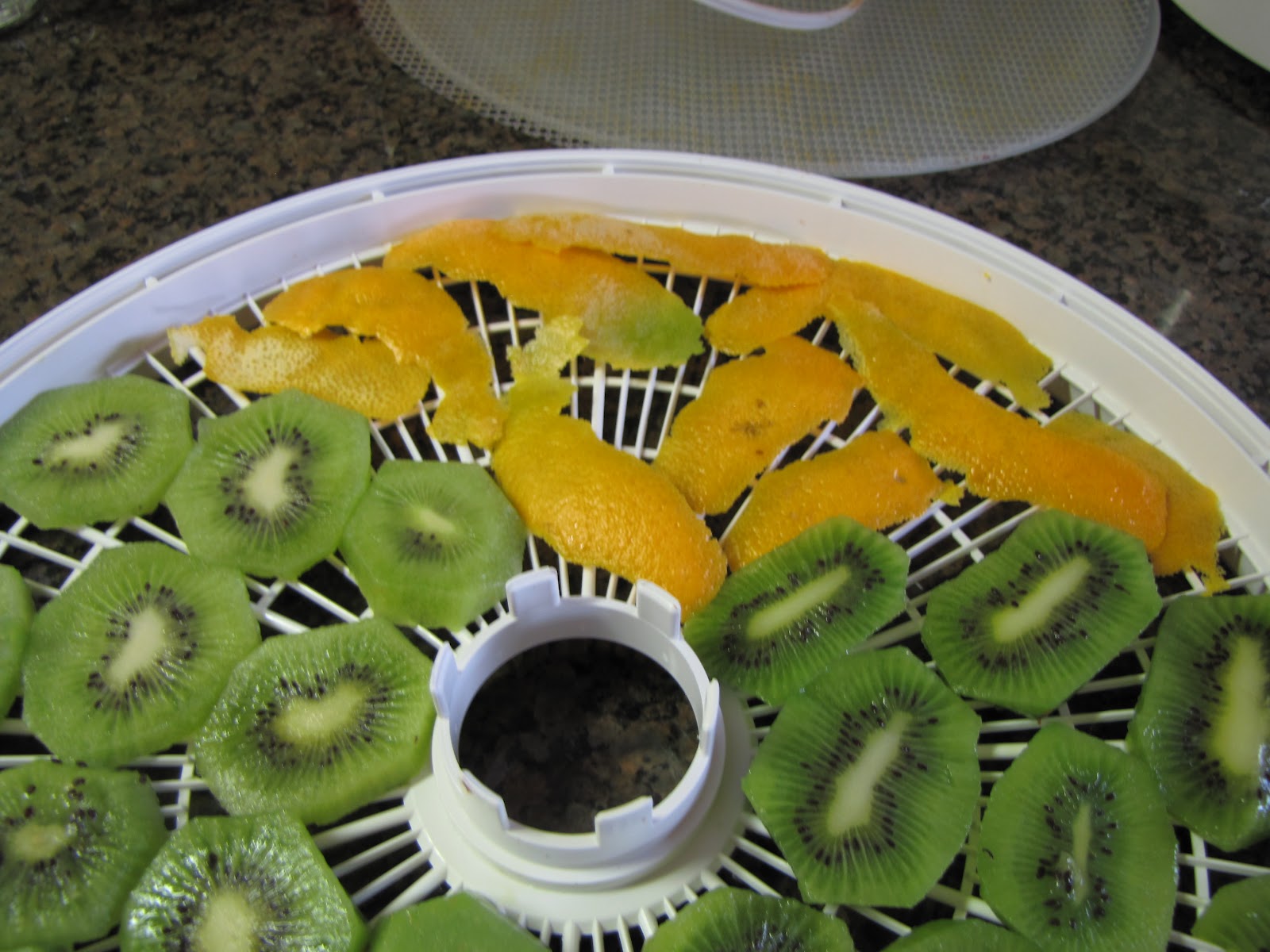 PREPARE TODAY Dehydrating Fruit