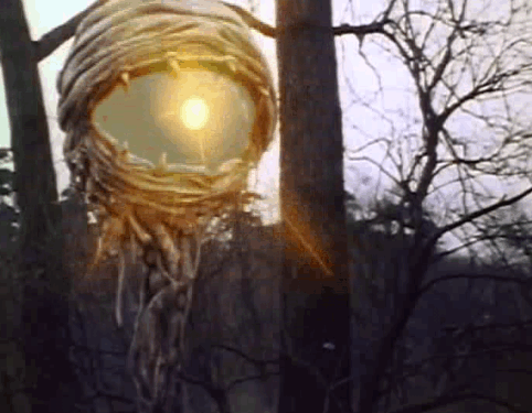 Billy+Booty+Beatin+By+Bulbous+Baby+Blues