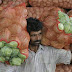 Food inflation turns negative; drops to -3.36 pc