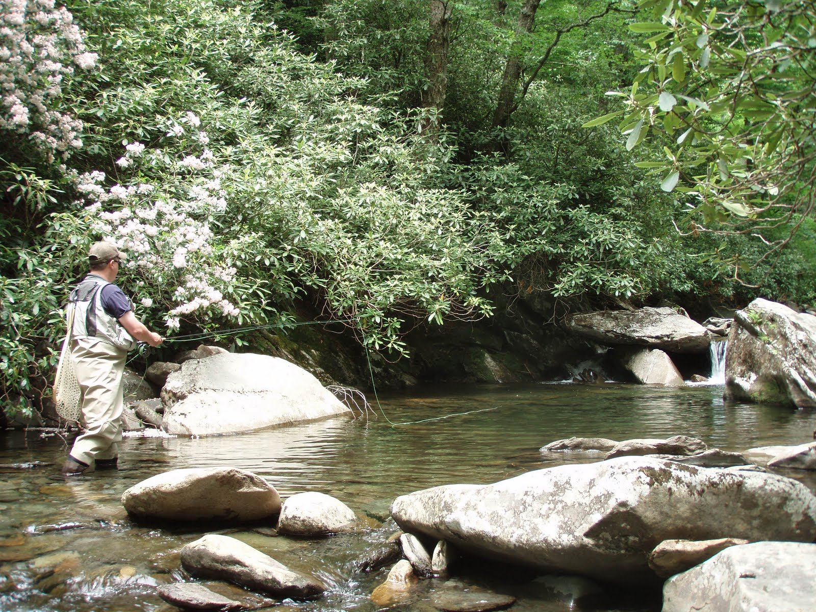 The Fly Guide Fly Fishing Great Smoky Mountain National Park
