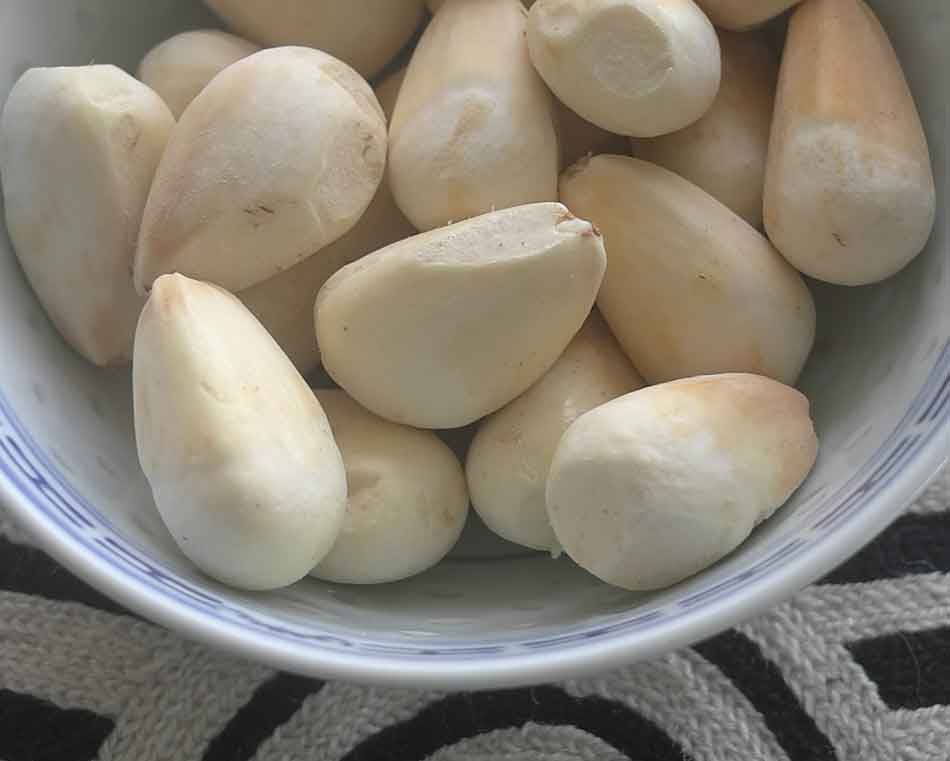 edible culture Bunya Pine Nuts How to Prepare for Cooking