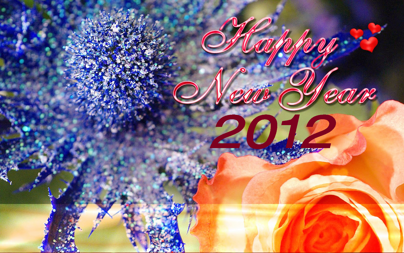 http://1.bp.blogspot.com/--XitO22TjG4/TtNDztAa_5I/AAAAAAAABnE/oC7LAkbfrus/s1600/New+Year+%252815%2529.jpg