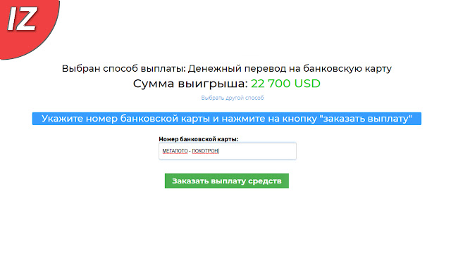 Для проверки ввели вымышленные данные в поле банковских реквизитов.