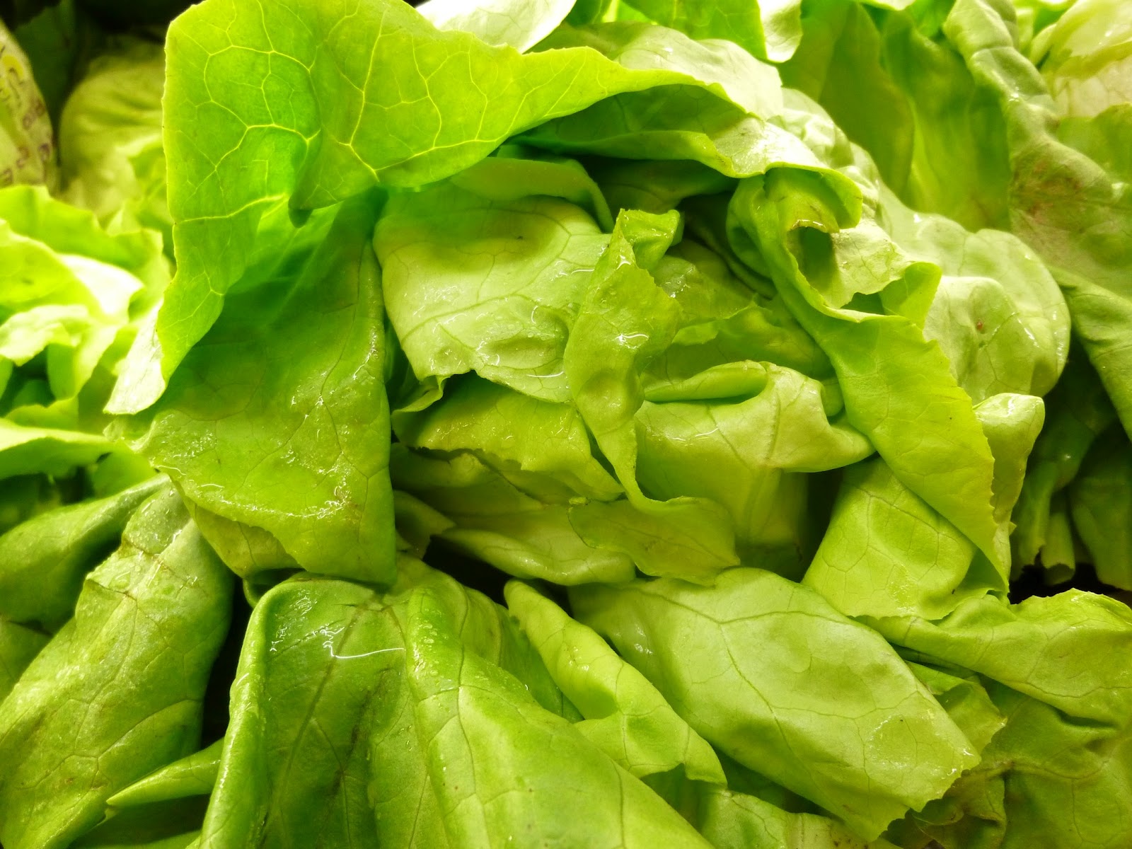 Foods For Long Life Before You Reach For The Iceberg Lettuce Select