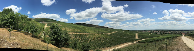 Tokaj Hill in Hungary