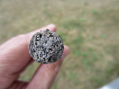 Cigar Cuba chính hiệu!!! Đẳng cấp ông chủ!!!! - 6