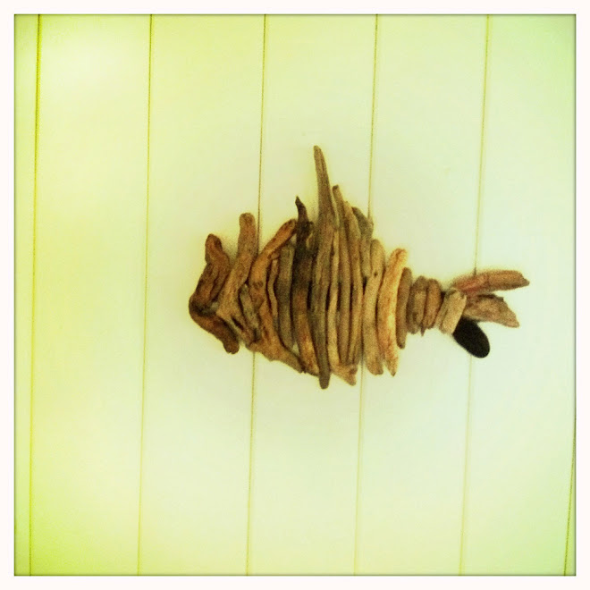 Driftwood Fish 2