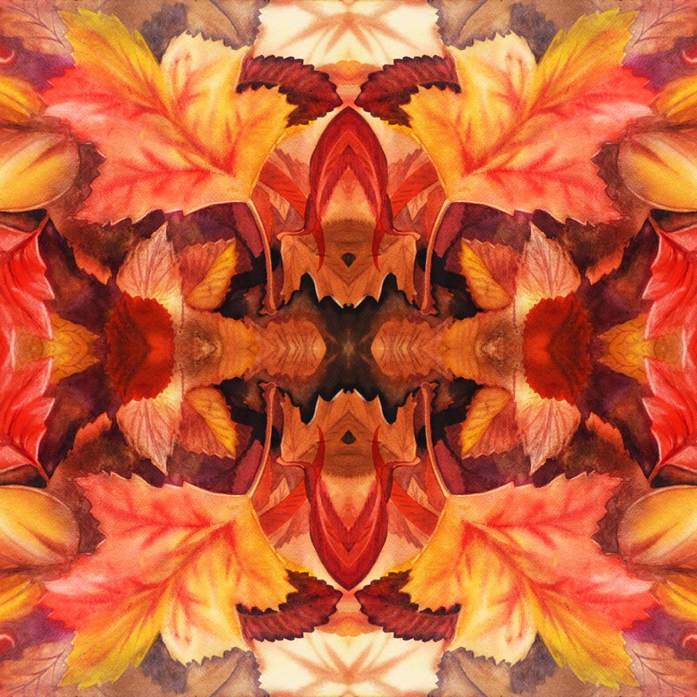 Fall Leaves Fall Decor