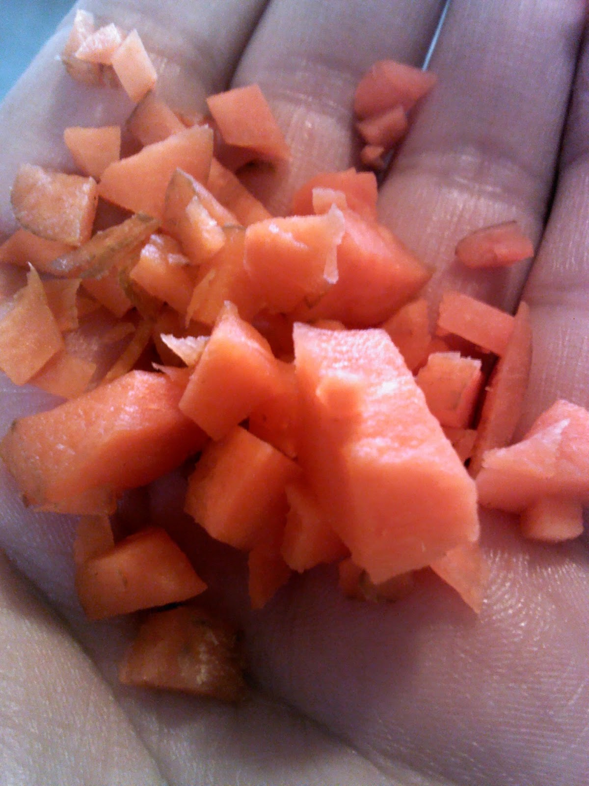 The Poor Foodie's Kitchen Carrot Juice Straight From the Blender