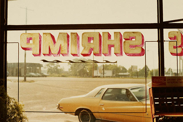 Photo de William Eggleston Photo de William Eggleston