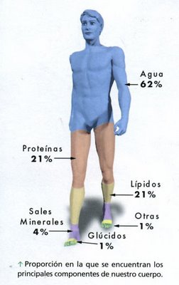 FORMA INFLUYE NUESTRA ALIMENTACION EJERCICIO FISICO forma influye nuestra alimentacion ejercicio fisico: