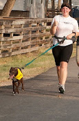 Paws to the Pavement 3k