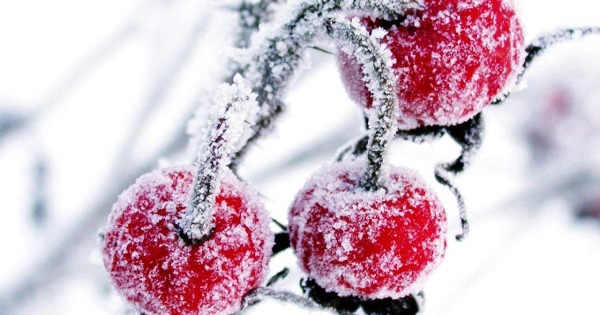 Imagini Craciun, Felicitari craciun, Winter wallpapers: Fructe iarna