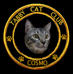 Tabby Cat Club