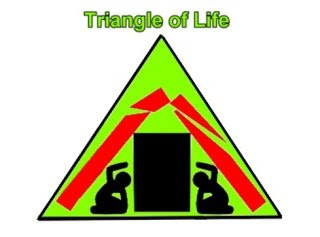 生命三角