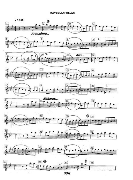 Kaybolan Yıllar (Sezen Aksu) Notalar Sözleri