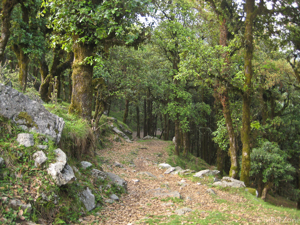 daran_3.jpg (1024×768)