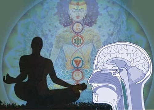 Harvard Study Unveils What Meditation Literally Does To The Brain Harvard Study Unveils What Meditation Literally Does To The Brain