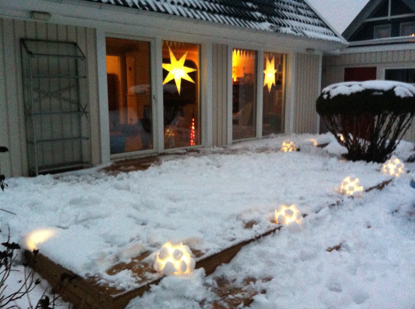 Klorofyllidyll: moderna snölyktor