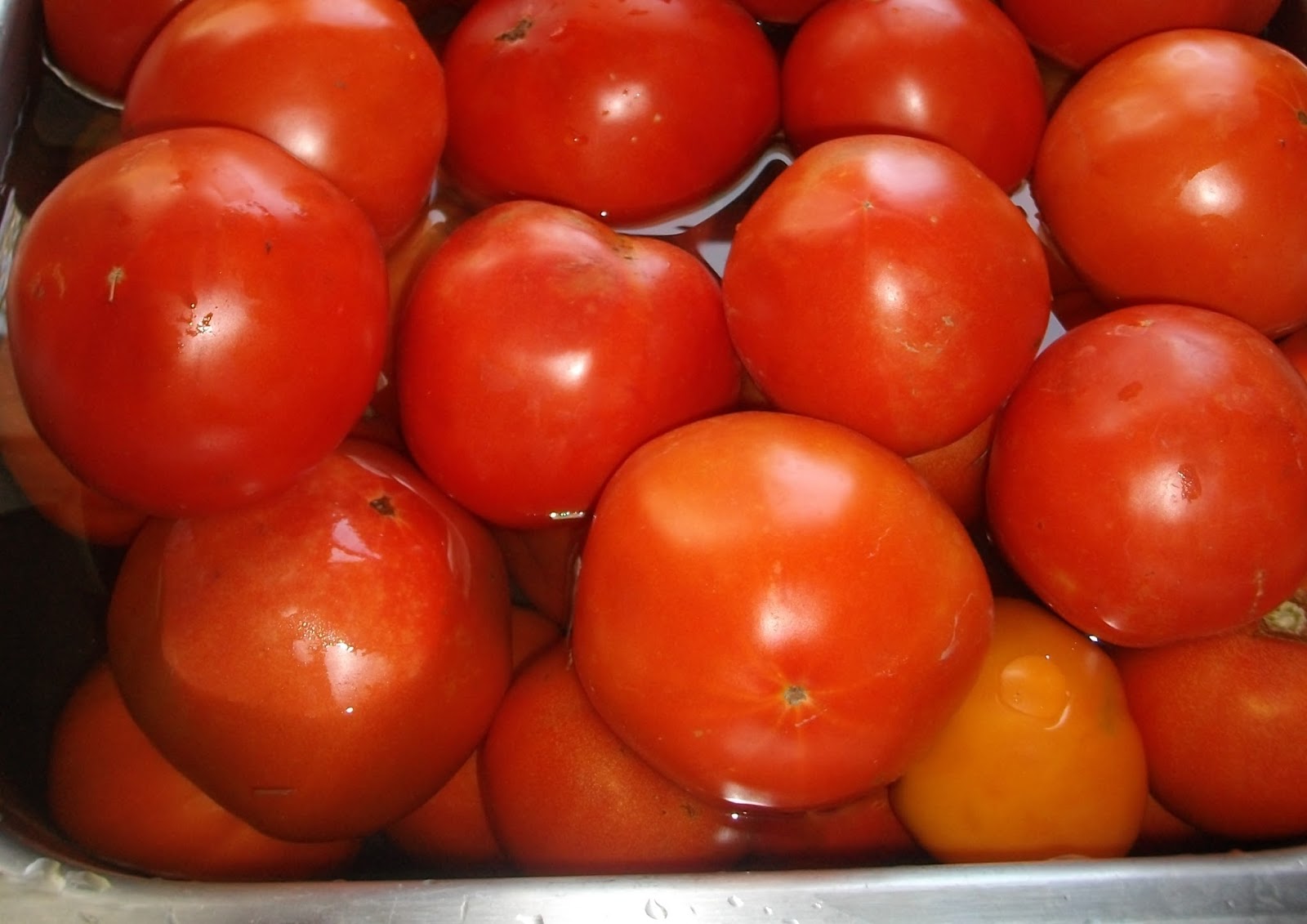 Christina S Garden March 2011