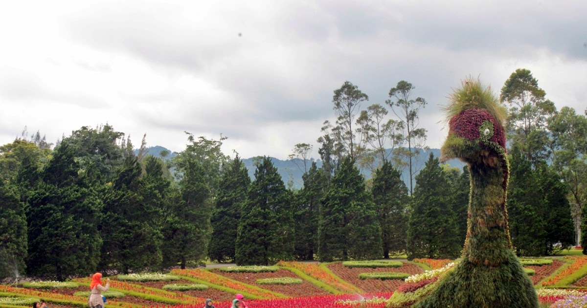 gitadine: Ekspedisi Taman Bunga Nusantara